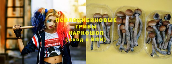 spice Алексин